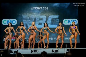BIKINI 161